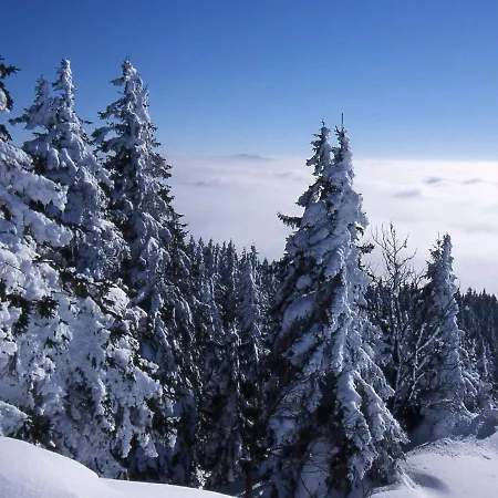 Boutique Holiday Home Near Ski Area In Lehen Apartment